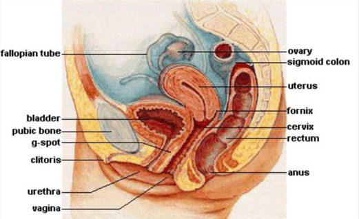 injection-site-pic -  Anti Aging Restoration Project Reno NV