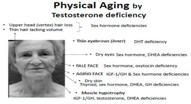 physical-aging-by-testosterone-deficiency - Anti-Aging Hormones Reno NV