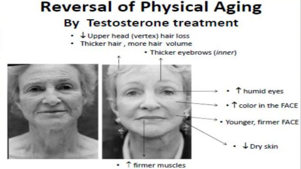 reversal-of-physical-aging-by-testosterone-treatment - Anti-Aging Hormones Reno NV