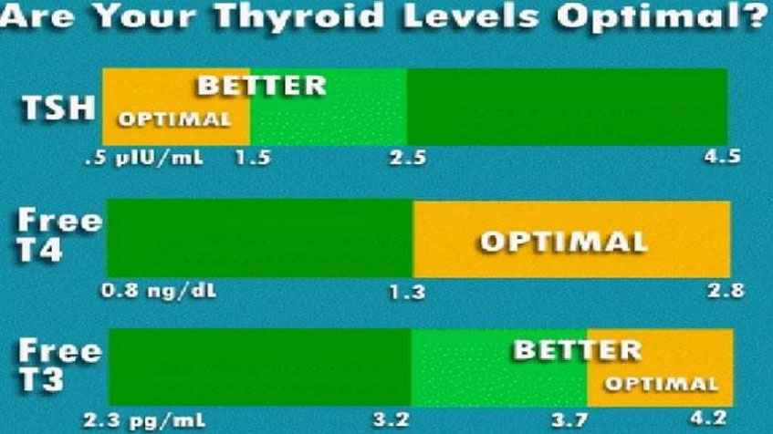thyroid-level