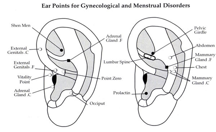 Menopausal and Gyn Issues