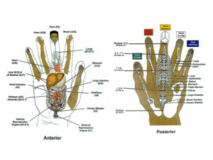 Battlefield Acupuncture: Rapid Auriculotherapy For Pain Reduction