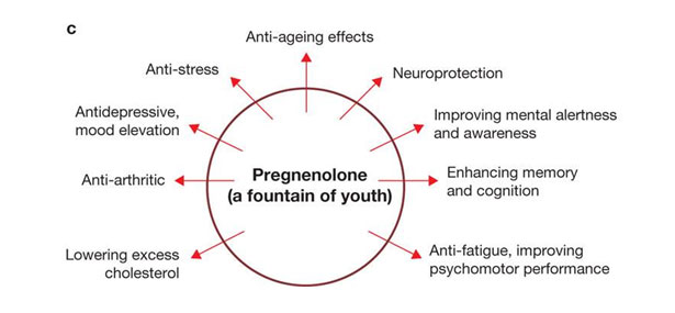 anti-ageing-effect - Anti-Aging Medicine Reno NV