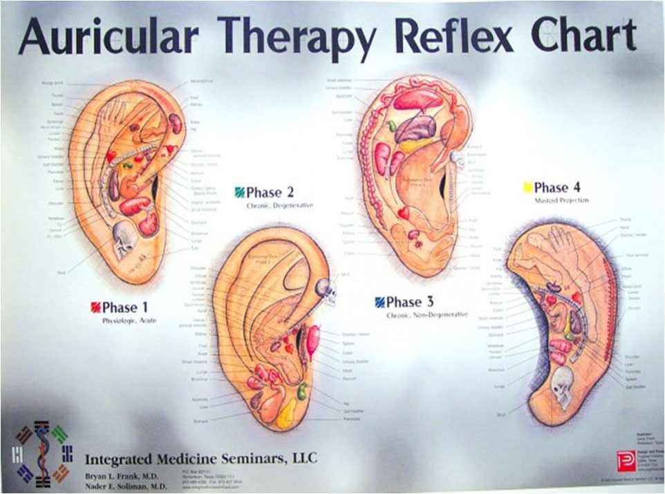 Auriculotherapy Chart Points